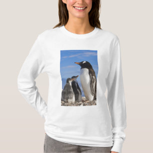 Antarktis, Neko Cove (hamn). Gentoo pingvin 2 Tee Shirt