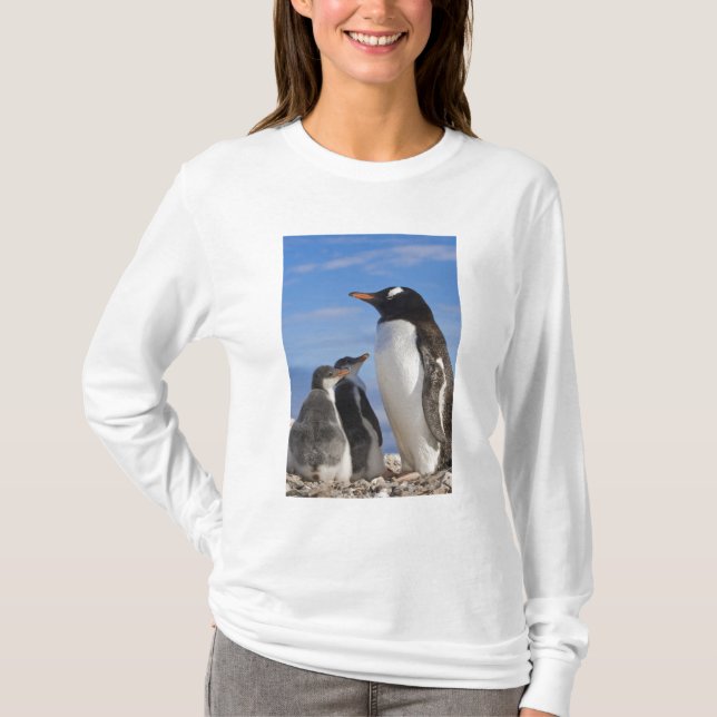 Antarktis, Neko Cove (hamn). Gentoo pingvin 2 Tee Shirt (Framsida)
