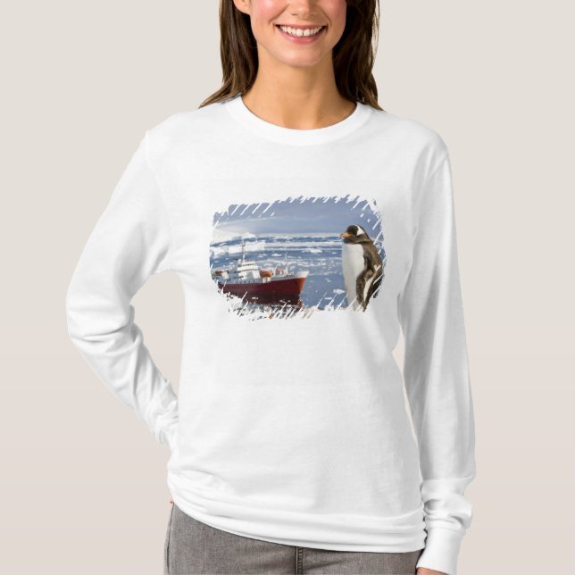 Antarktis, Neko Cove (hamn). Gentoo pingvin T Shirt (Framsida)