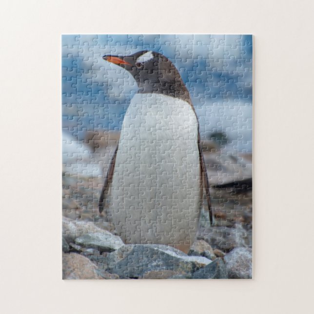 Antarktis. Neko Harbour. Gentoo Penguin Pussel (Vertikal)