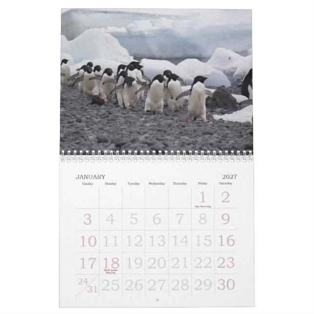 Antarktis pingvinkalender kalender (Jan 2027)