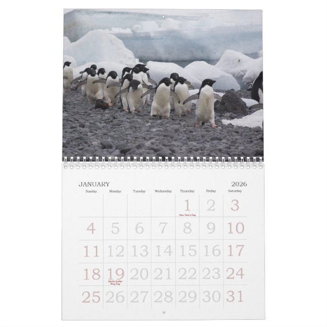 Antarktis pingvinkalender kalender (Jan 2026)