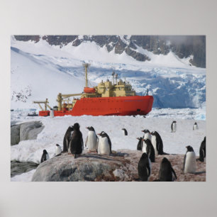 Antarktis Poster