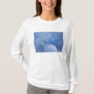 Antarktis, Ross Island, Cape Evans, Snögrottan Tee