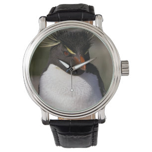 Antarktis, subantarktiska öar, söder 5 armbandsur