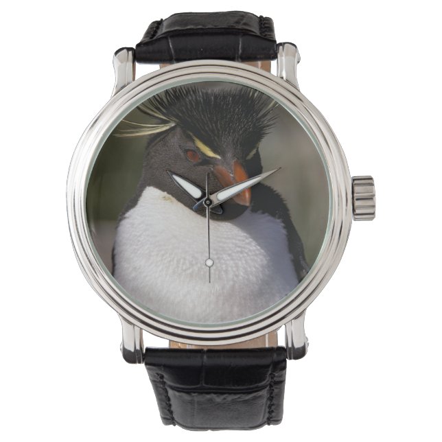 Antarktis, subantarktiska öar, söder 5 armbandsur (Framsida)
