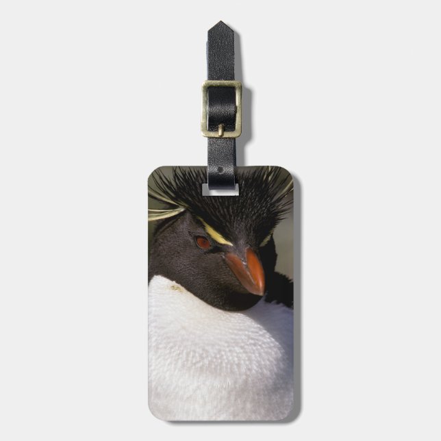 Antarktis, subantarktiska öarna, syd 5 bagagebricka (Vertikal Framsida)