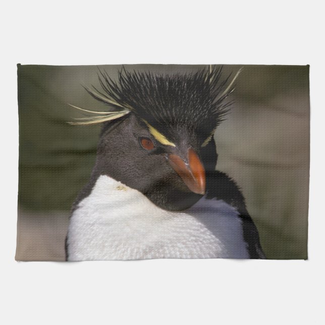 Antarktis, subantarktiska öarna, syd 5 kökshandduk (Horisontell)