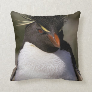 Antarktis, subantarktiska öarna, syd 5 kudde