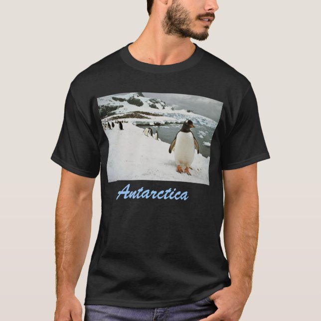 Antarktis T-tröja T-shirt (Framsida)