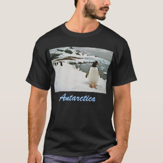 Antarktis T-tröja Tee