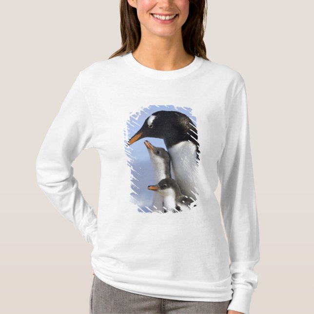 Antarktiska halvön, Neko Harbour, Gentoo T Shirt (Framsida)