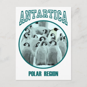 Antartica Vykort