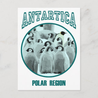 Antartica Vykort