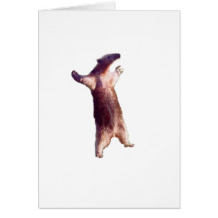 Anteater Hälsningskort