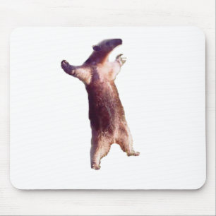 Anteater Musmatta
