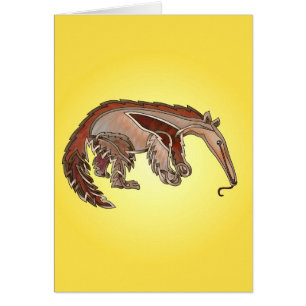 Anteater OBS Kort
