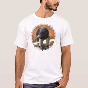 Anteatermanar T-tröja Tröja