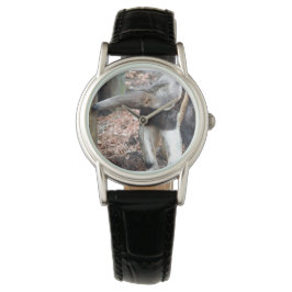 Anteaternäsa upphöjd vild djurbild bild armbandsur
