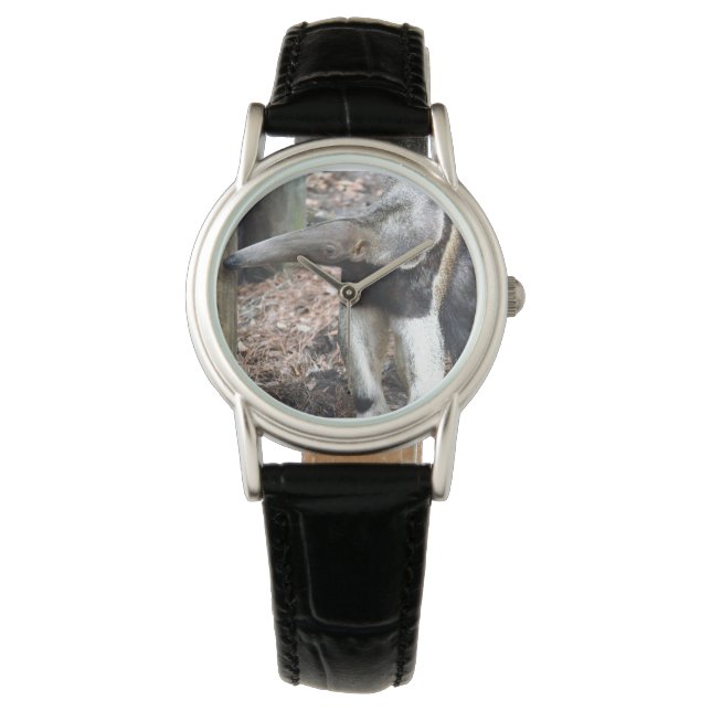 Anteaternäsa upphöjd vild djurbild bild armbandsur (Framsida)
