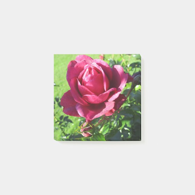 Anteckningar efter post-it block (Framsida)