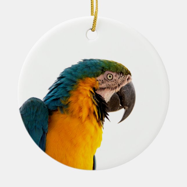 Anteckningar för Parrot efter det att den har skic Julgransprydnad Keramik (Framsidan)