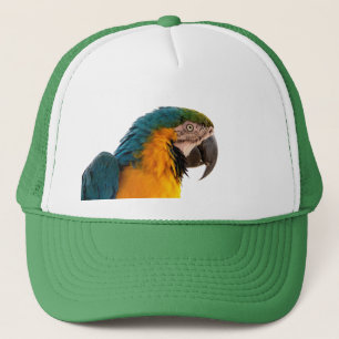 Anteckningar för Parrot efter det att den har skic Keps