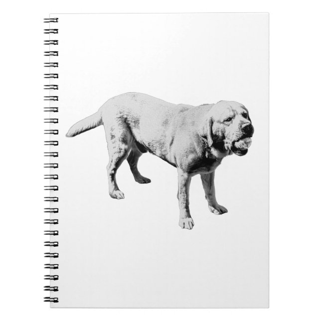 Anteckningar för uppspelning anteckningsbok (Framsidan)