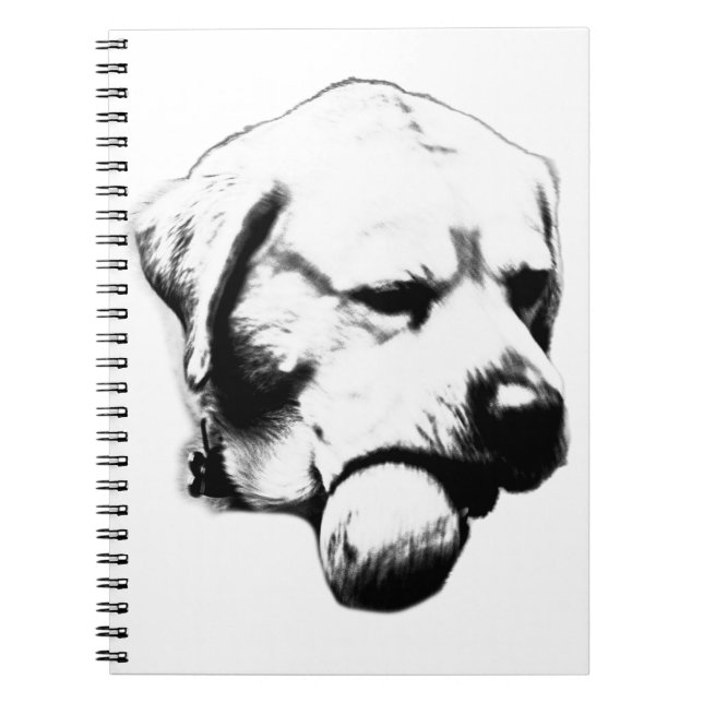 Anteckningar mellan toner anteckningsbok (Framsidan)