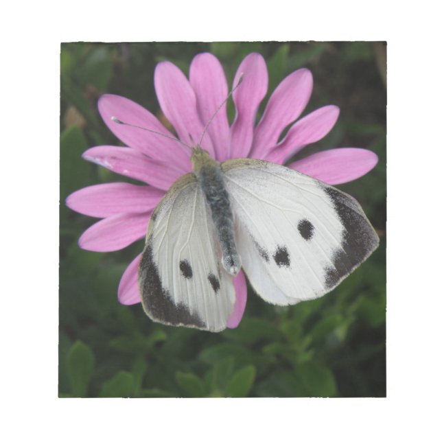 Anteckningsblock av fjäril och Rosa Flower (Framsida)
