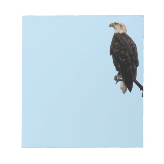 Anteckningsblock Eagle (Framsida)