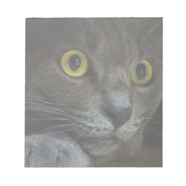 Anteckningsblock för intensitet (Framsida)