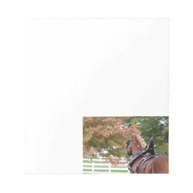 Anteckningsblocket belgiska Draft Horse Anteckningsblock (Framsida)