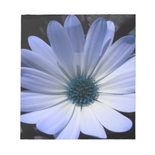 Anteckningsblocket Blå Daisy blomma Anteckningsblock