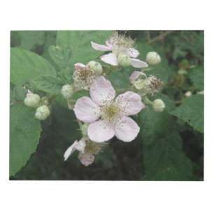 Anteckningsblocket Blackberry Flowers Anteckningsblock