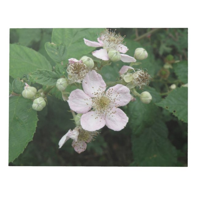 Anteckningsblocket Blackberry Flowers Anteckningsblock (Framsida)