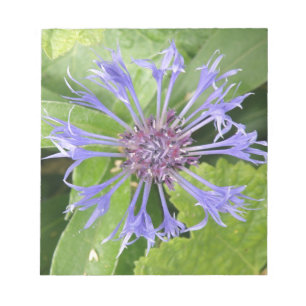 Anteckningsblocket Blue Cornblomma Anteckningsblock