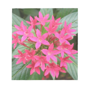 Anteckningsblocket Bright Rosa Tropical Flowers Anteckningsblock