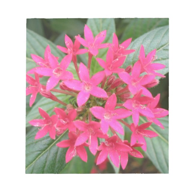 Anteckningsblocket Bright Rosa Tropical Flowers Anteckningsblock (Framsida)