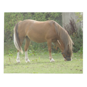Anteckningsblocket Chestnut Brown Horse Grazing Anteckningsblock