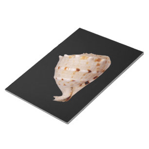 Anteckningsblocket Conch Snäcka Anteckningsblock