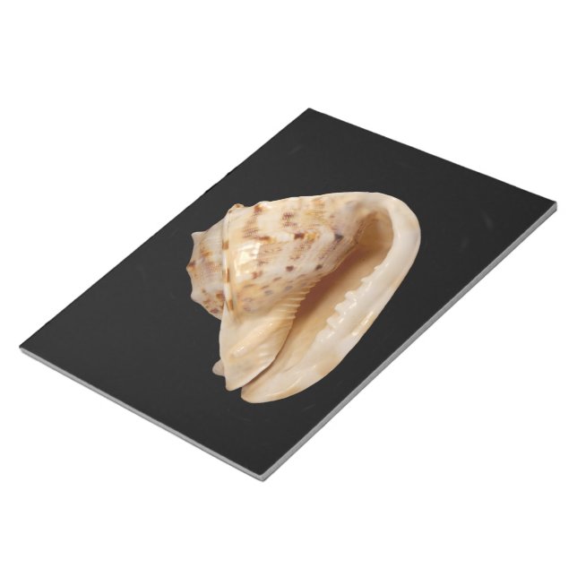 Anteckningsblocket Conch Snäcka Anteckningsblock (Vinklad)