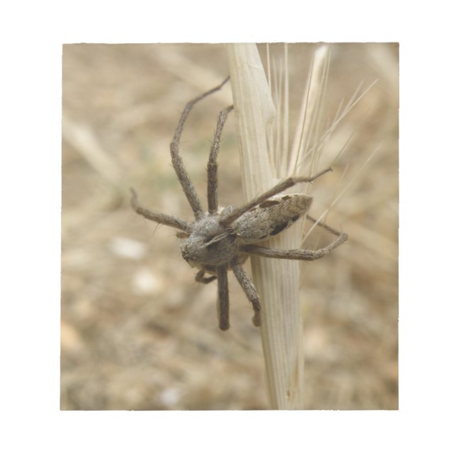 Anteckningsblocket Creepy Crawly Spider Anteckningsblock (Framsida)