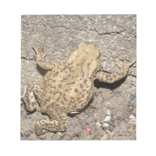 Anteckningsblocket Cute Crawling Toad Anteckningsblock