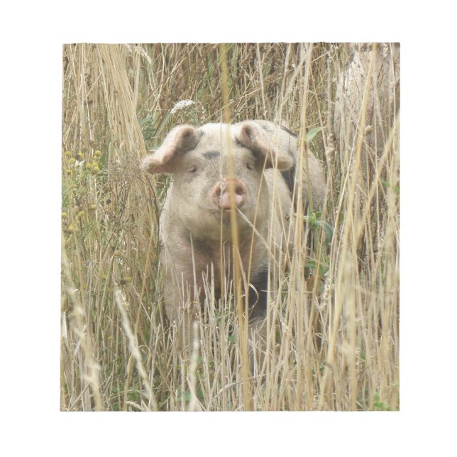 Anteckningsblocket Cute Spotty Gris Anteckningsblock (Framsida)