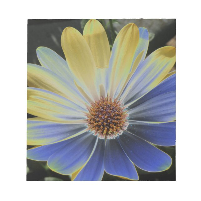 Anteckningsblocket Daisy Lapis och Guld Anteckningsblock (Framsida)