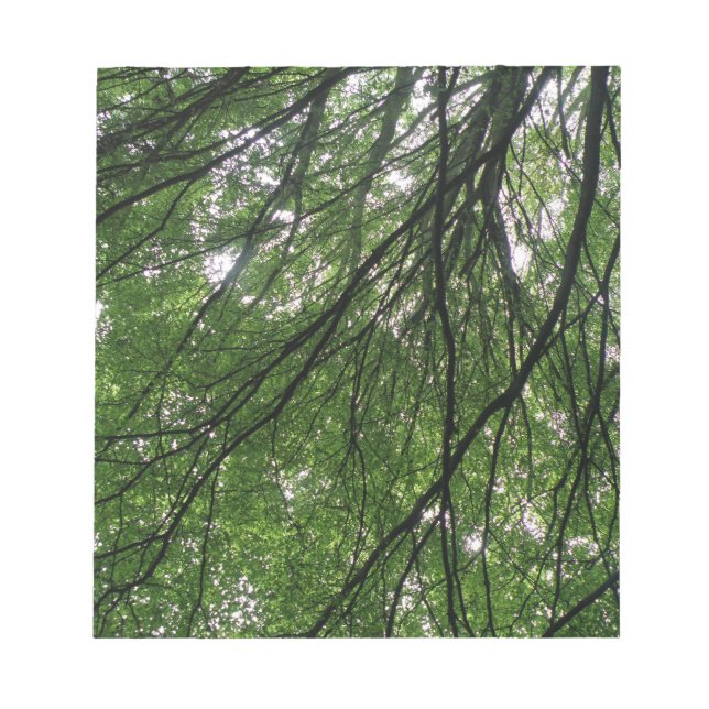 Anteckningsblocket grenar och Löv Anteckningsblock (Framsida)