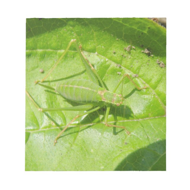 Anteckningsblocket grönt Cricket Camouflage Anteckningsblock (Framsida)