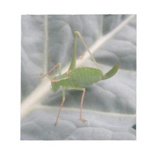 Anteckningsblocket grönt Cricket-makro Anteckningsblock