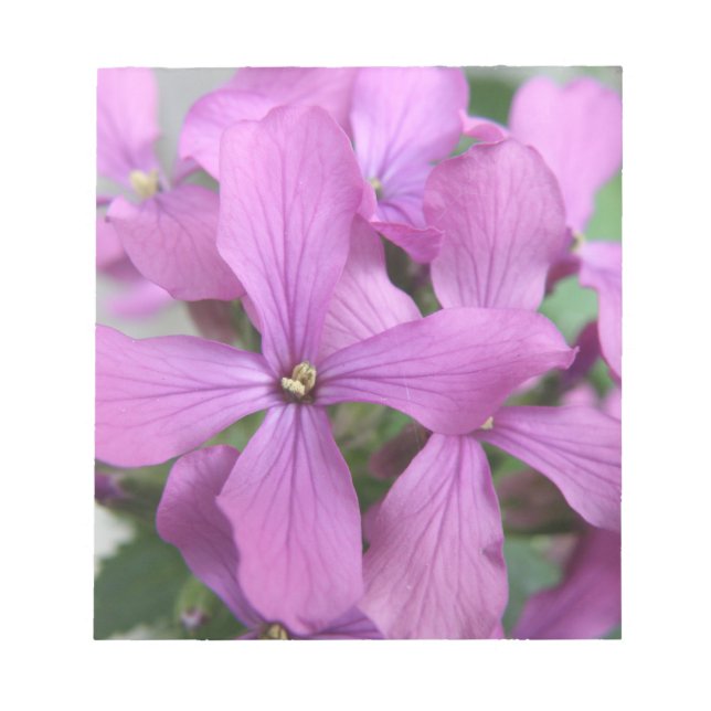Anteckningsblocket lila Wildblommor Anteckningsblock (Framsida)